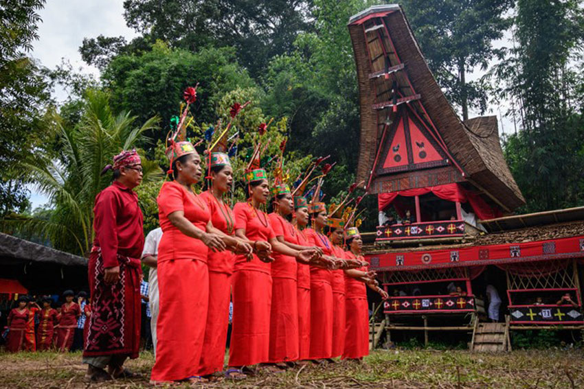 The Torajans performing a funeral rite ritual