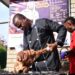 Chef-Pascal-cutting-the-meat-after-the-presser-at-The-Gardens-Najjera