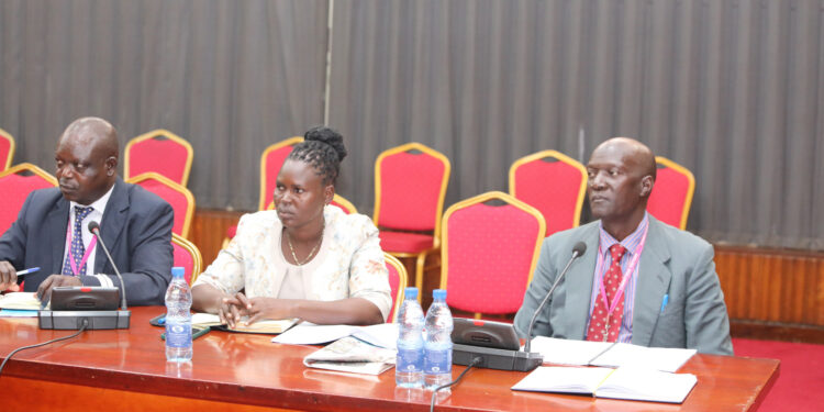 Karenga district officials (L-R): John Bosco Okello (PDM Focal Person), Hellen Auma and Charles Uma (CAO, Karenga district) appearing before the Committee on Public Service on Monday 23 October 2023.