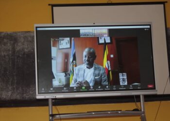 Rt. Hon Deputy Speaker  addressing the Assistant RDCs and RCCs via zoom