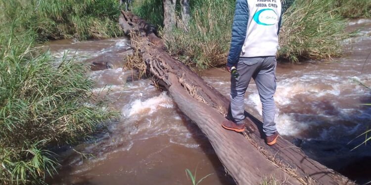 A journalist crossing Nyagak Paa Bruno footbridge that connects Atyak Sub-County  and Nebbi Subcounty recently. The footbridge is reported to have claimed more than 20 lives since  2007.PHOTO/MIKE RWOTHOMIO.