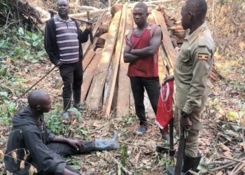 Mutambala forest suspects arrested