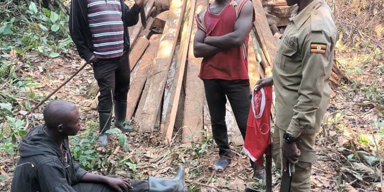 Mutambala forest suspects arrested