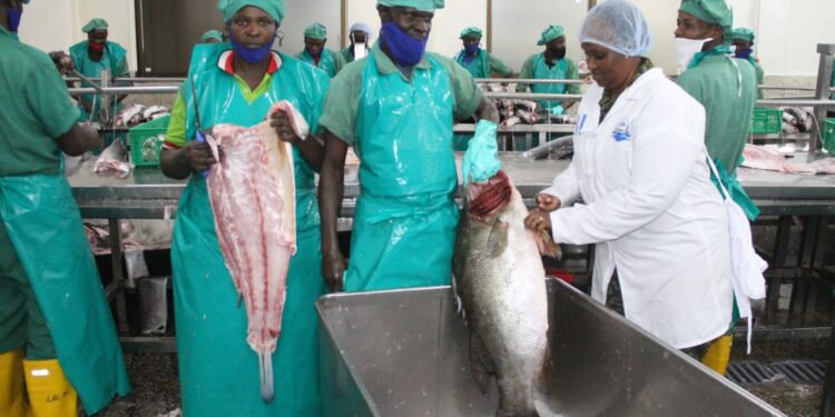 Lt Col Mercy Tuhakirwa at the factory of Lake Eco-Fishing Processing Ltd