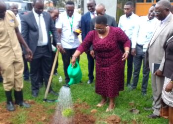 Hon. Justine Kasule Lumumba watering a tree she planted at Uganda Management Instute on Tuesday