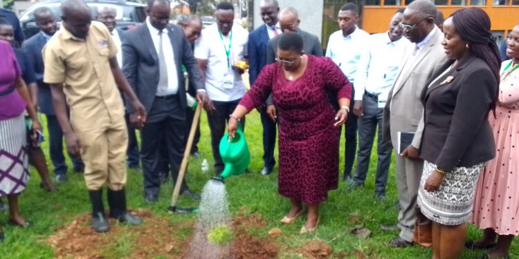 Hon. Justine Kasule Lumumba watering a tree she planted at Uganda Management Instute on Tuesday