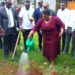 Hon. Justine Kasule Lumumba watering a tree she planted at Uganda Management Instute on Tuesday