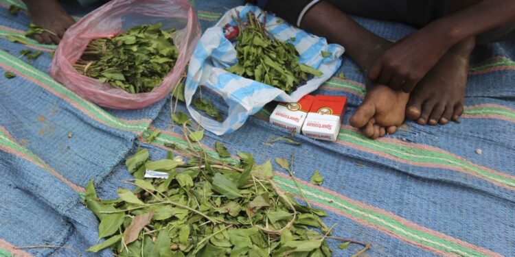 Khat selling