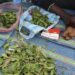 Khat selling