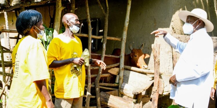 President Museveni visiting PDM beneficiaries in Bugisu subregion