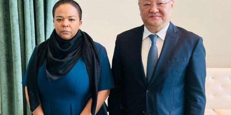 DRC Foreign Affairs Minister with Chinese Ambassador in New York