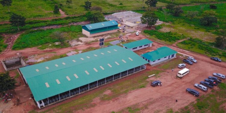 Farmers have lauded NAGRC&DB's initiatives for significantly improving their livelihoods and increasing their incomes. The government's plans to operationalize a floating fish feed production plant and invest in dairy breeding and production in Busoga aim to further enhance the region's livestock sector.